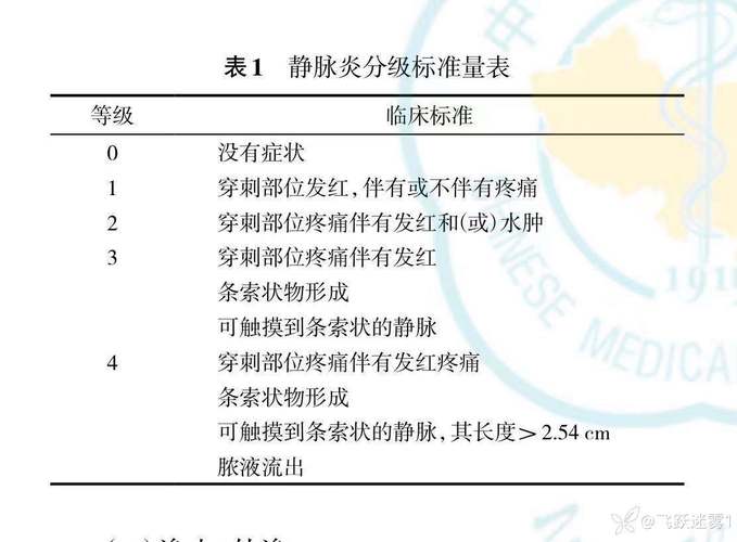 静脉炎分级标准最新版详解及应用实践